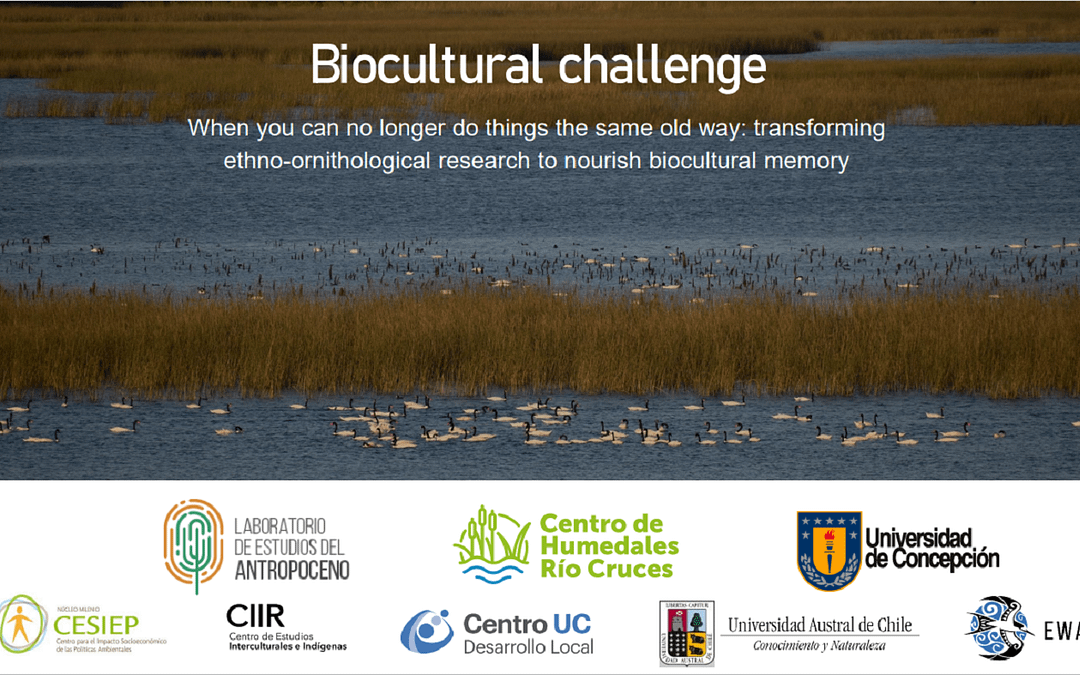 Investigadores de la memoria biocultural del río Cruces presentaron resultados en Congreso Mundial de Ornitología 2022