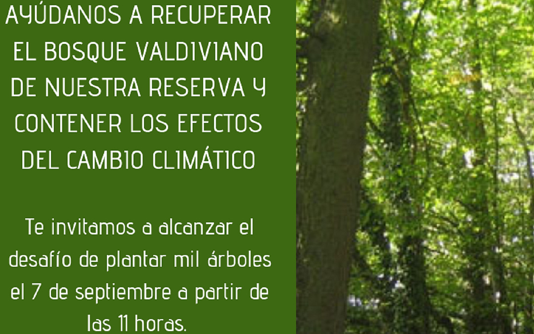 ¡Ayúdanos a restaurar el bosque valdiviano de nuestra reserva!